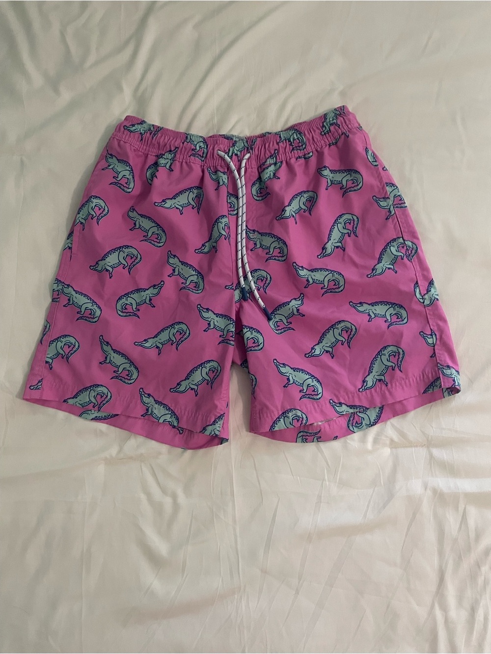 Men's Pink Dolphin Print Swim Trunks